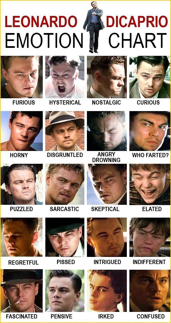 Obrázek Leonardo emotion chart