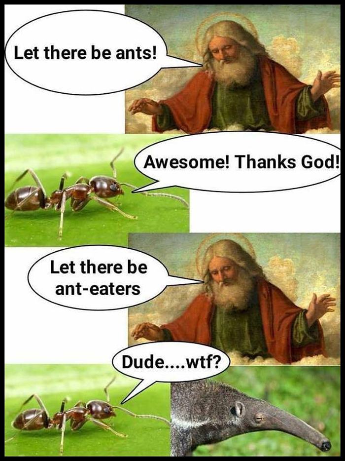 Obrázek LetThereBeAnts