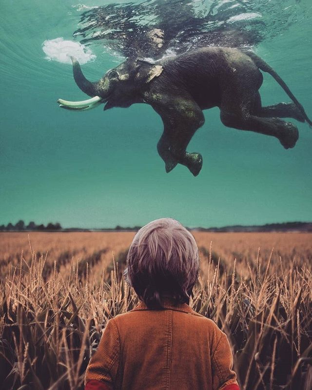 Obrázek Letos priplavali brzo