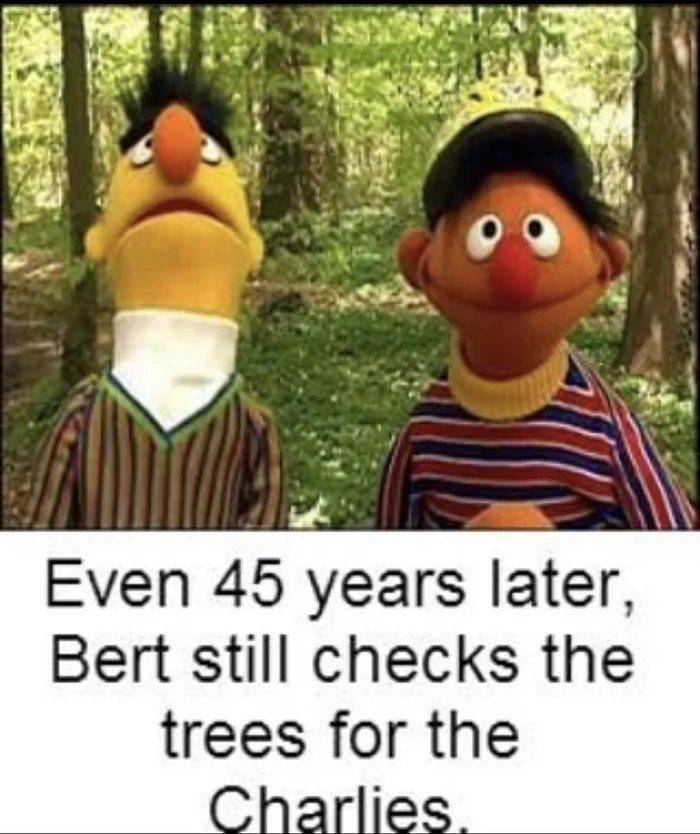 Obrázek Lets-see-your-best-Bert-and-Ernie-memes.