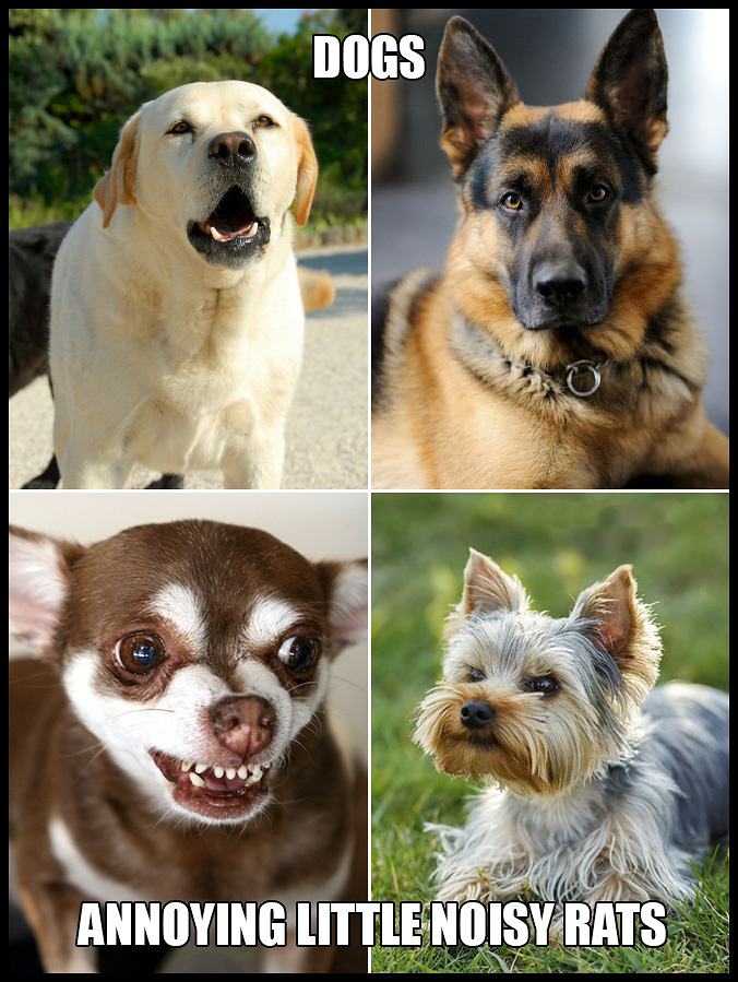 Obrázek Lets&nbsp;Learn&nbsp;The&nbsp;Difference&nbsp;&nbsp;&nbsp;