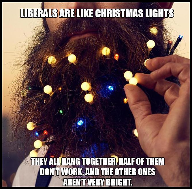Obrázek Liberals Are Like Christmas Lights
