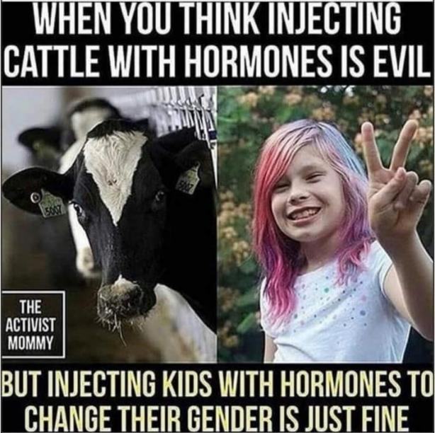 Obrázek Libtardi logika