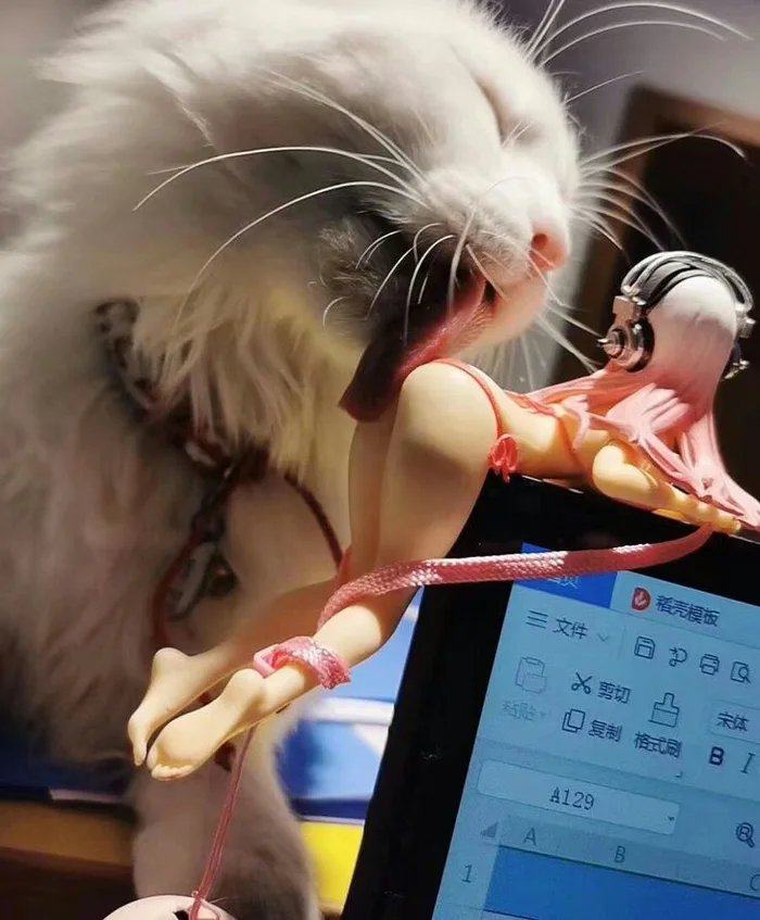Obrázek Licking-Good