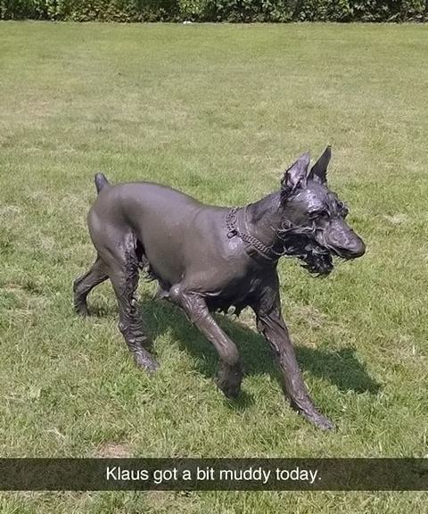 Obrázek Like-a-bronze-statue