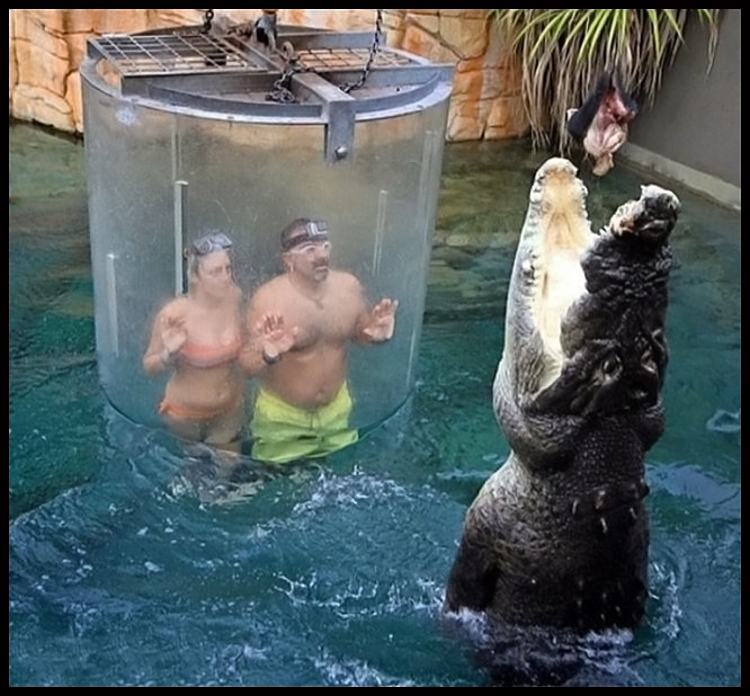 Obrázek Like Disney For Adults