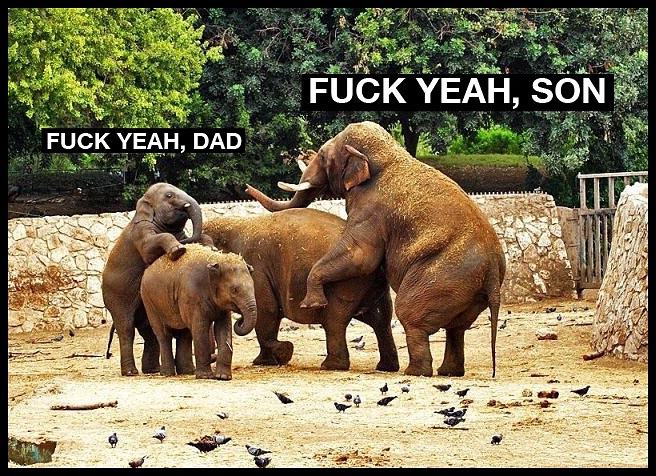 Obrázek Like Father - Like Son