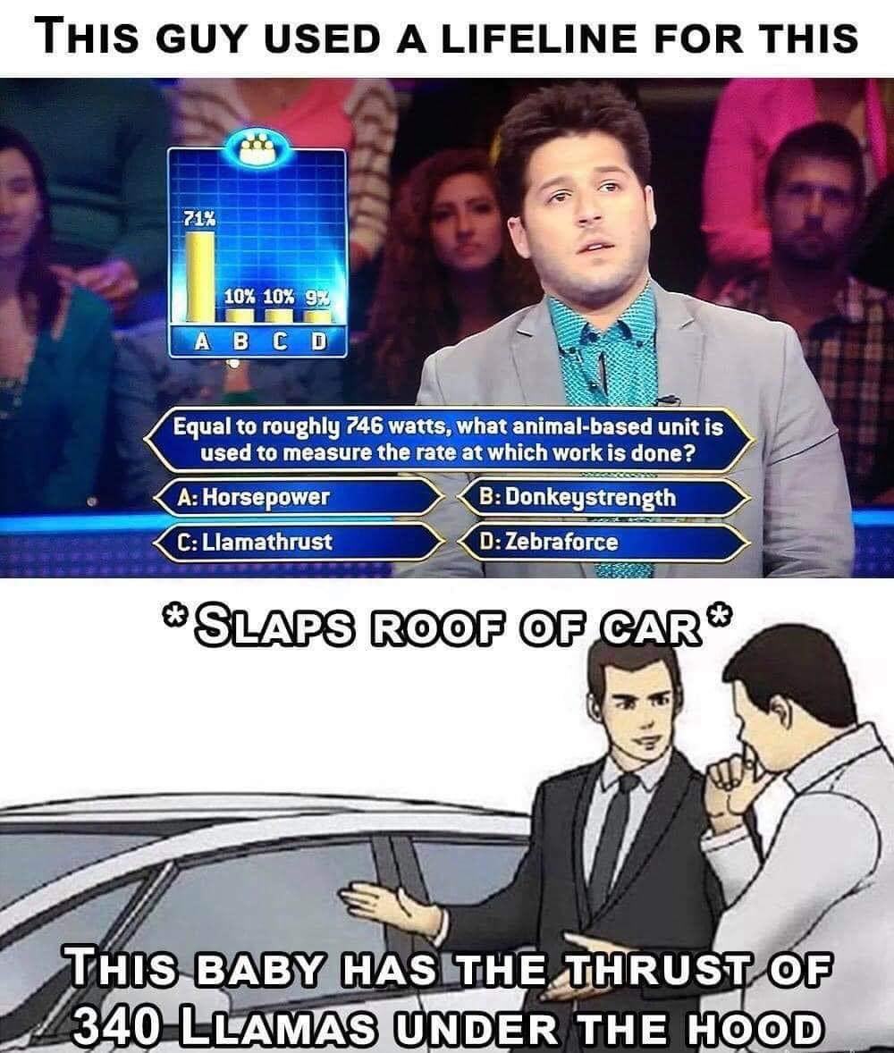 Obrázek Llamathrust
