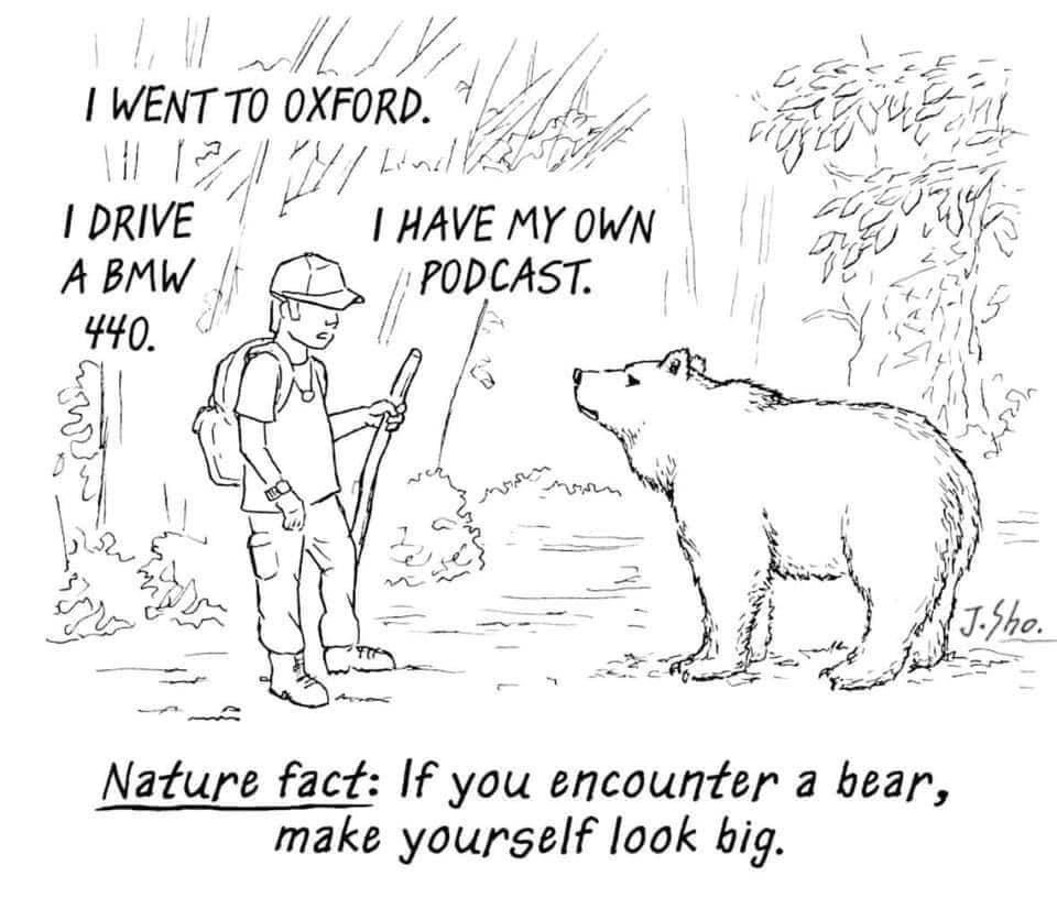 Obrázek LookBig