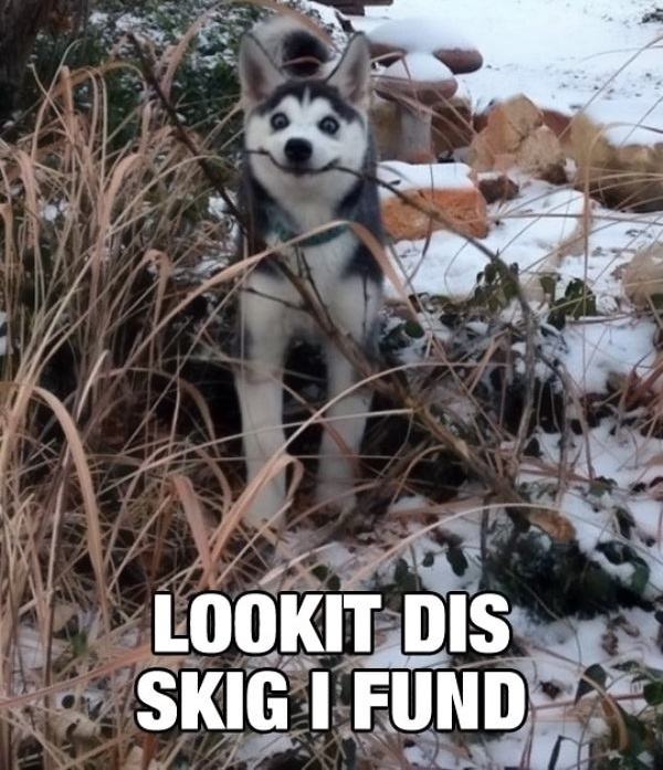 Obrázek Look At Dis