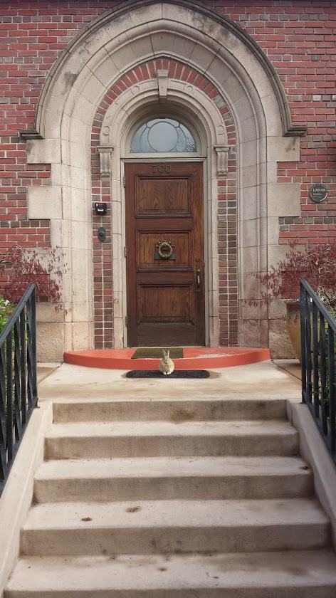 Obrázek Look at the bones