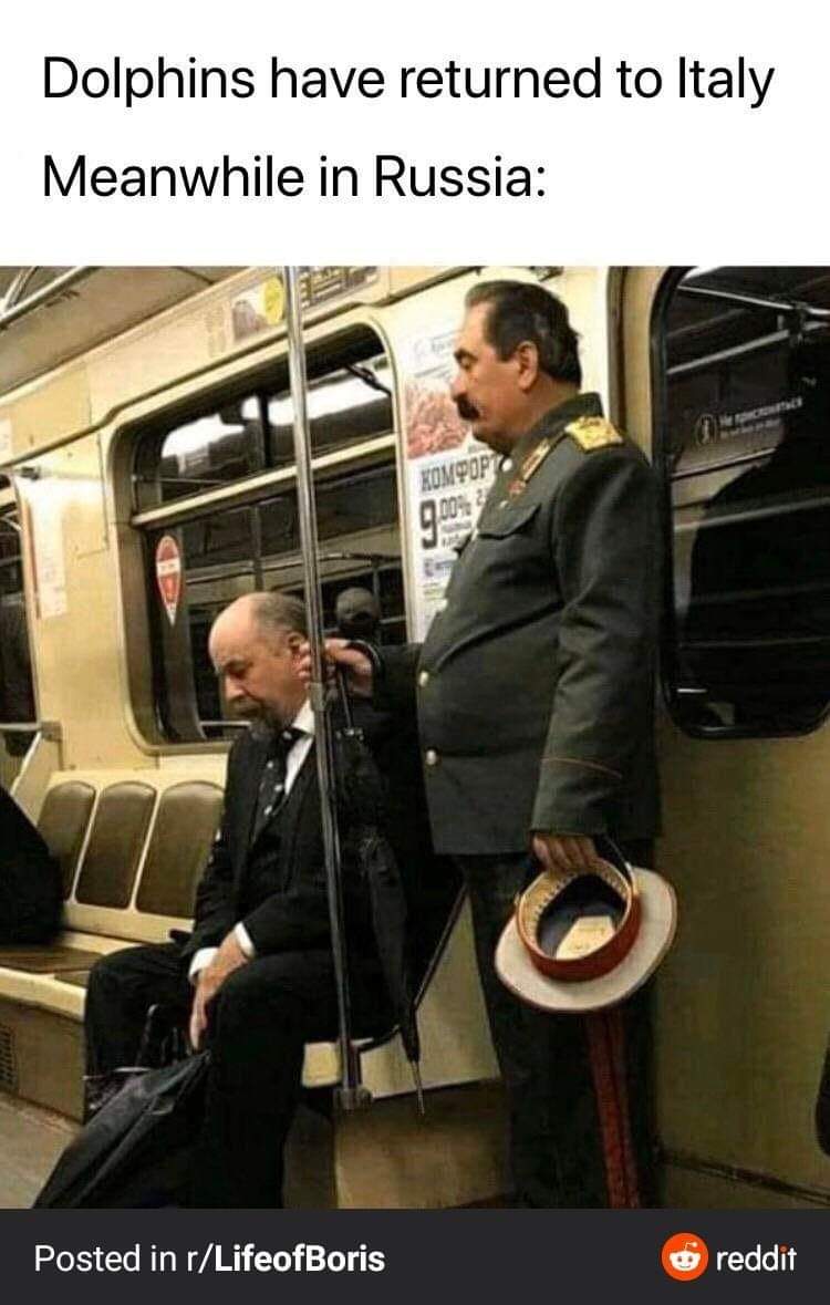 Obrázek Look&nbsp;who&nbsp;is&nbsp;back