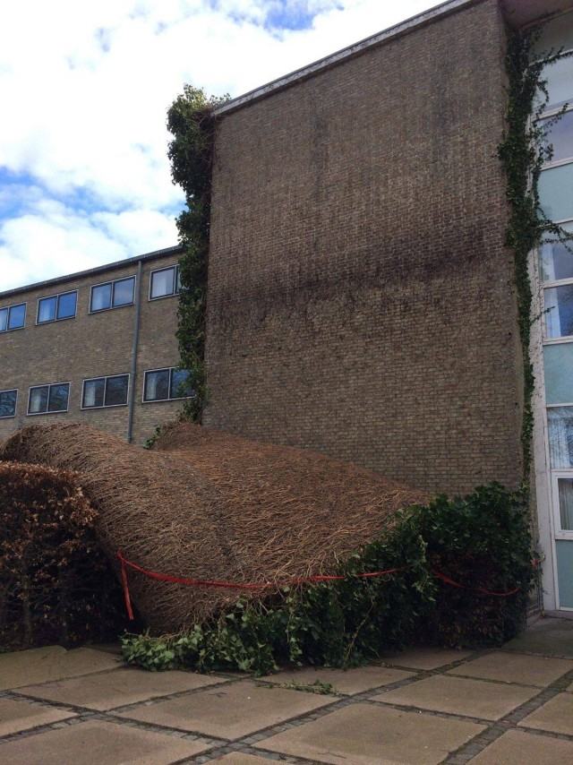 Obrázek Lost its grip