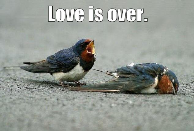 Obrázek LoveIsOverbirds