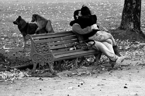 Obrázek Love Is In The Air 23-01-2012