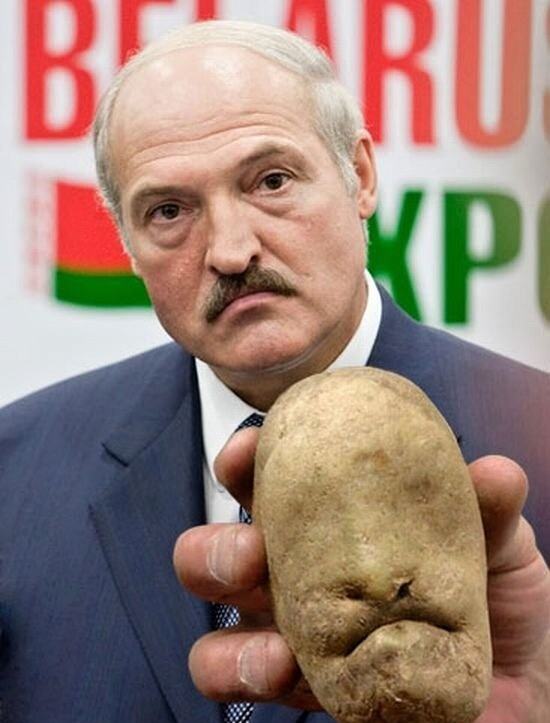 Obrázek Lukasenko 