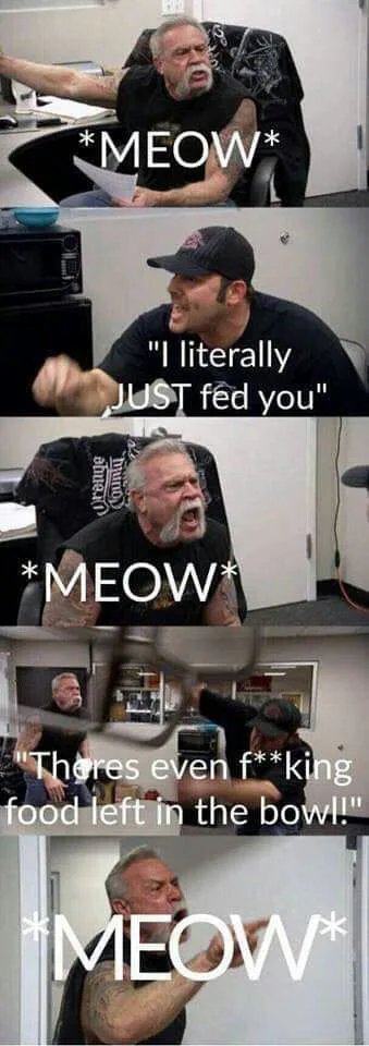 Obrázek MEOW