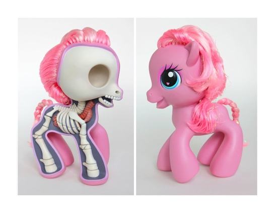 Obrázek MLP dissected