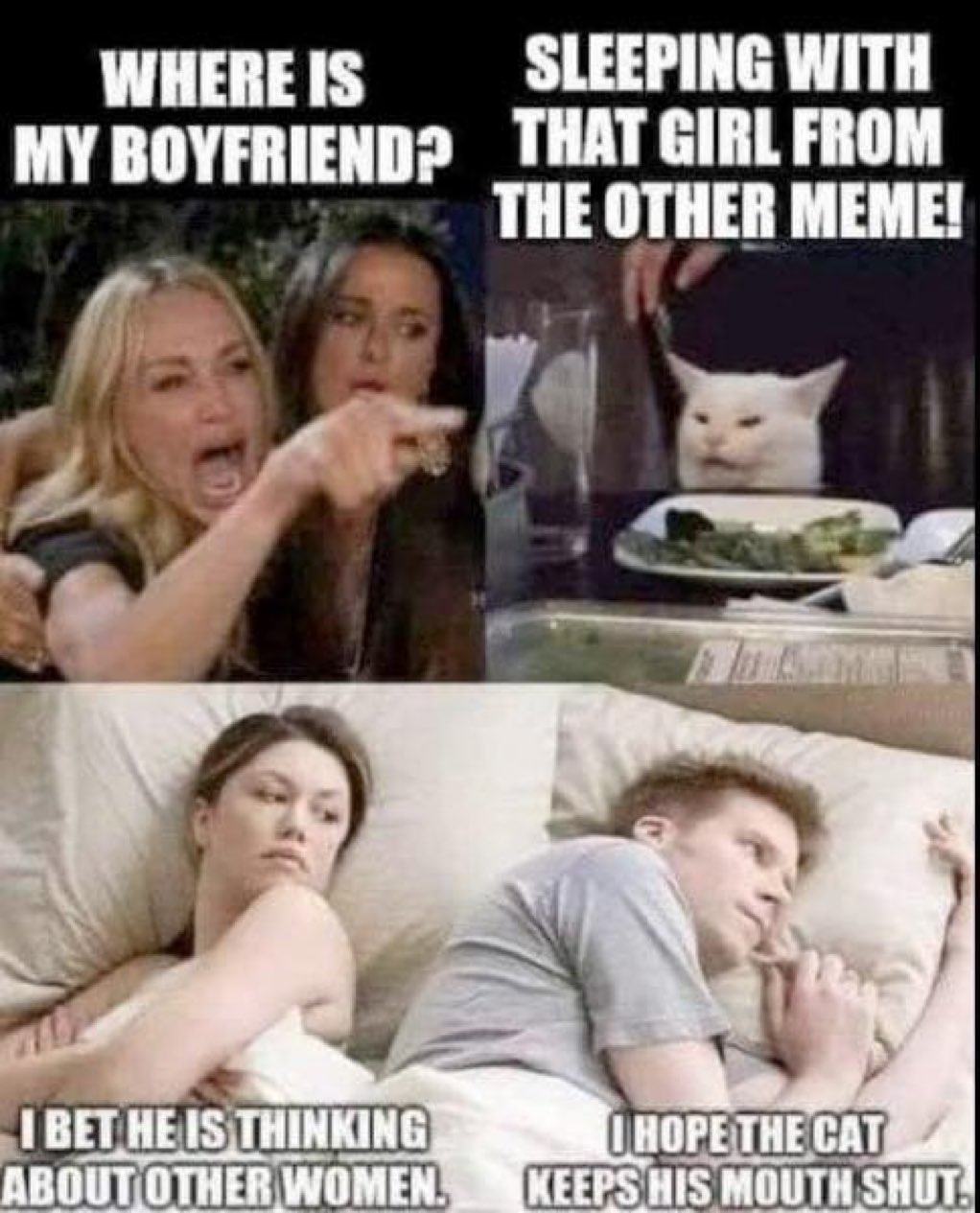 Obrázek MRGA0925-catBeLike