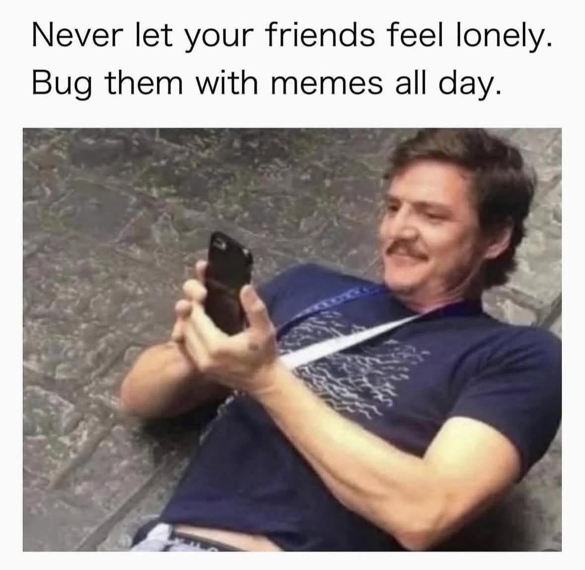 Obrázek MRGA0959-MamVasRad