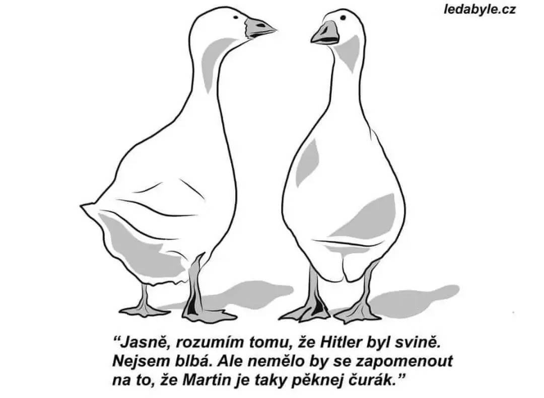 Obrázek MRGA0984-Svatomartinsky