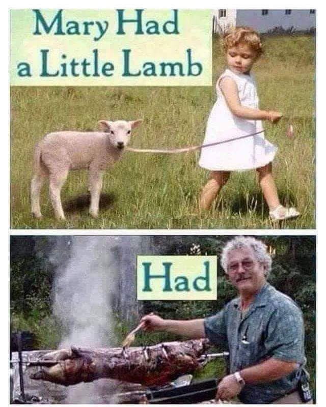 Obrázek MRGA1071-Lamb