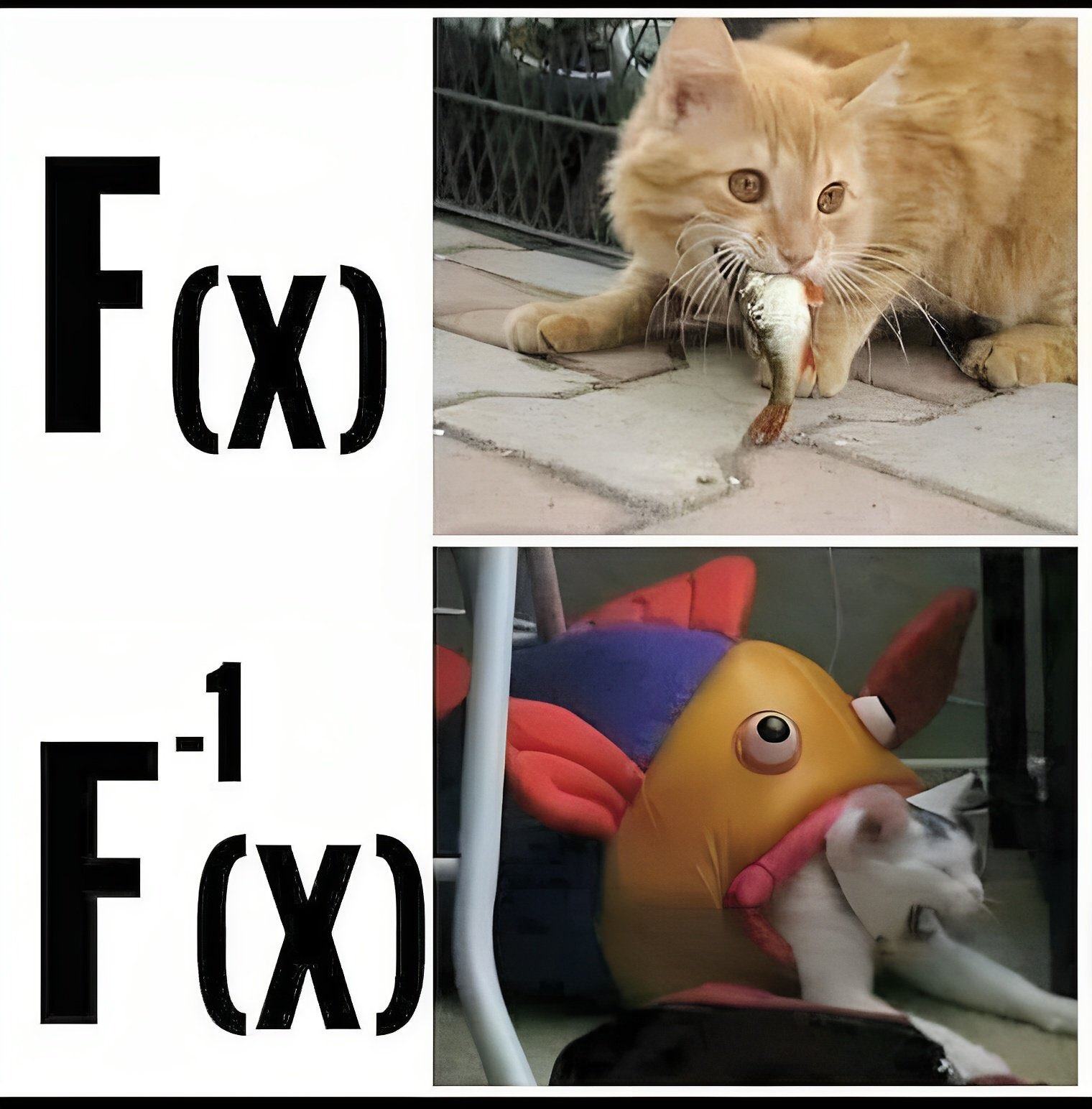 Obrázek MRGA1099-funkce