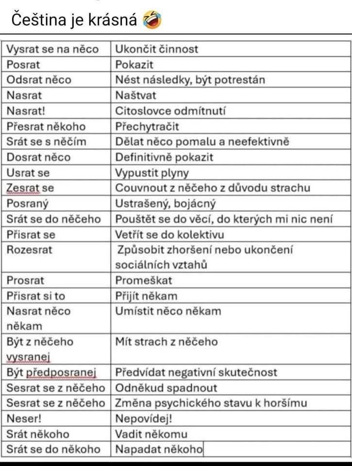 Obrázek MRGA1132-cestina