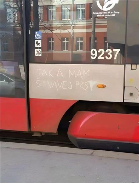 Obrázek MRGA1152-Spina