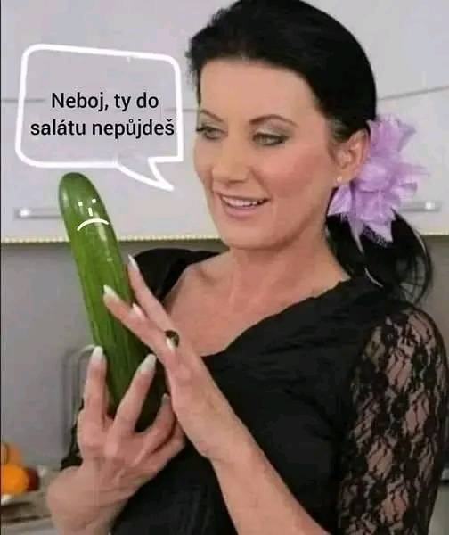 Obrázek MRGA1217-TenPohledZnam