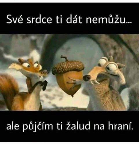 Obrázek MRGA1238-zalud