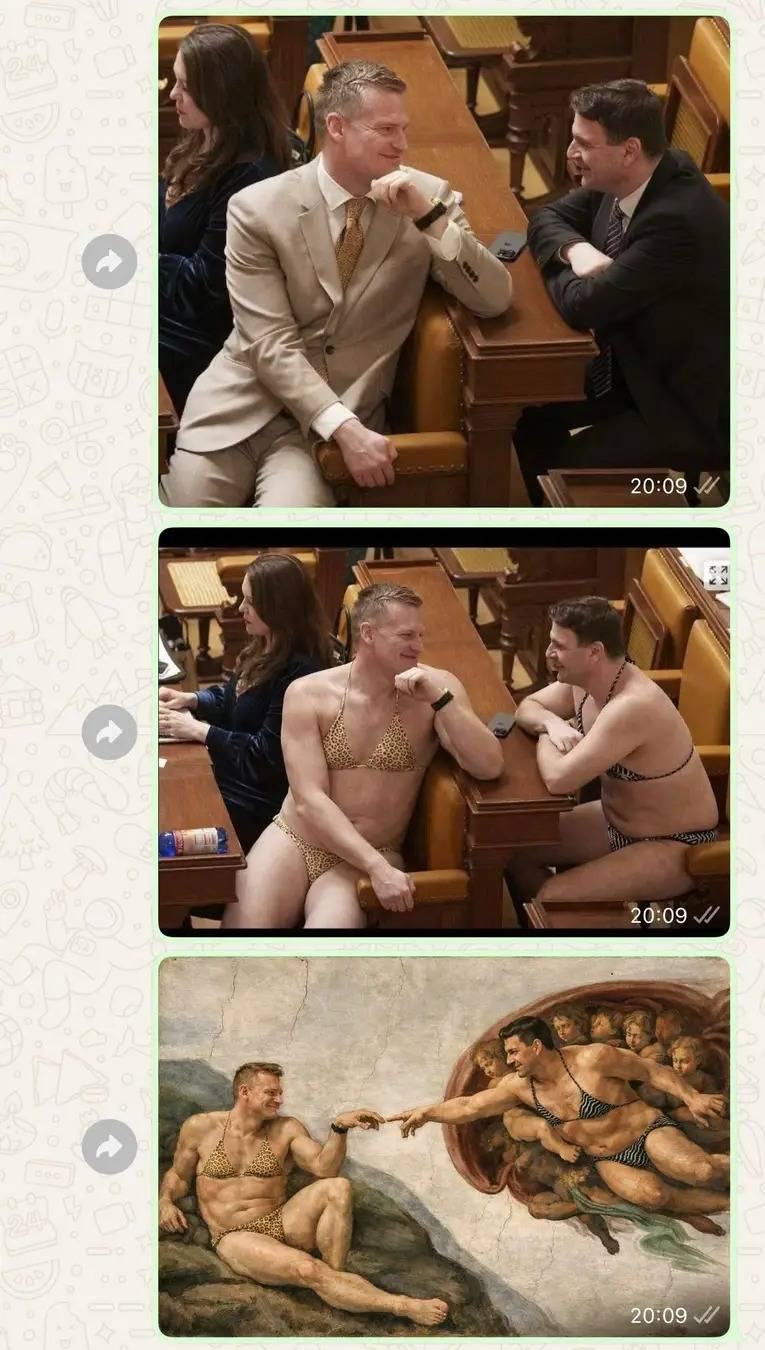 Obrázek MRGA1250-mysaci