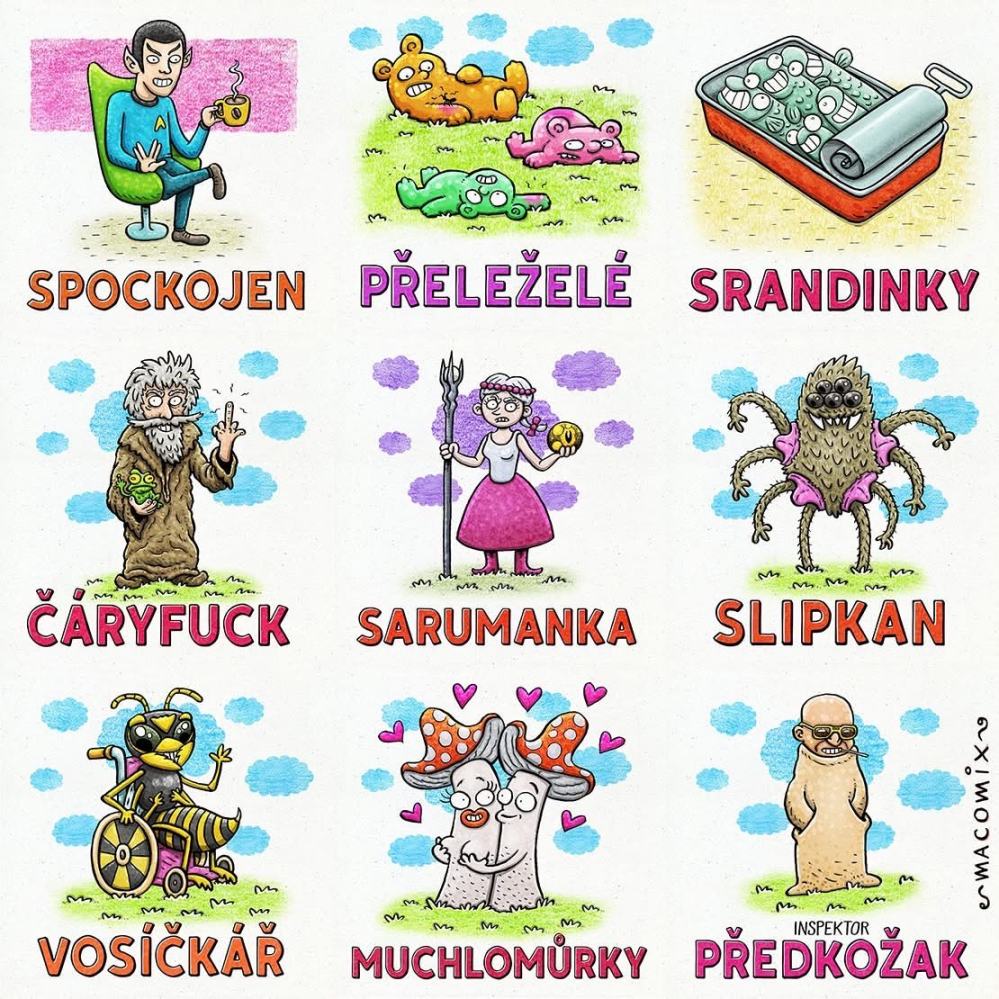 Obrázek MRGA1267-Cestina20