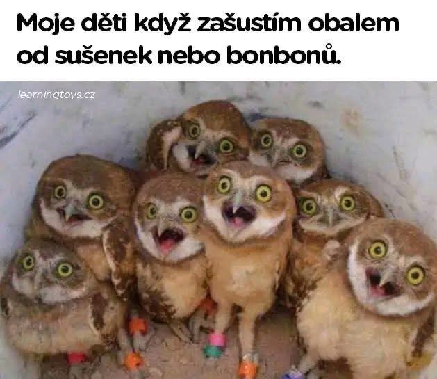 Obrázek MRGA1277-1deti