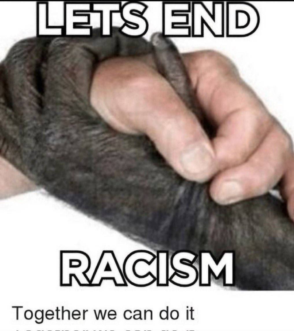 Obrázek MRGA1282-racism