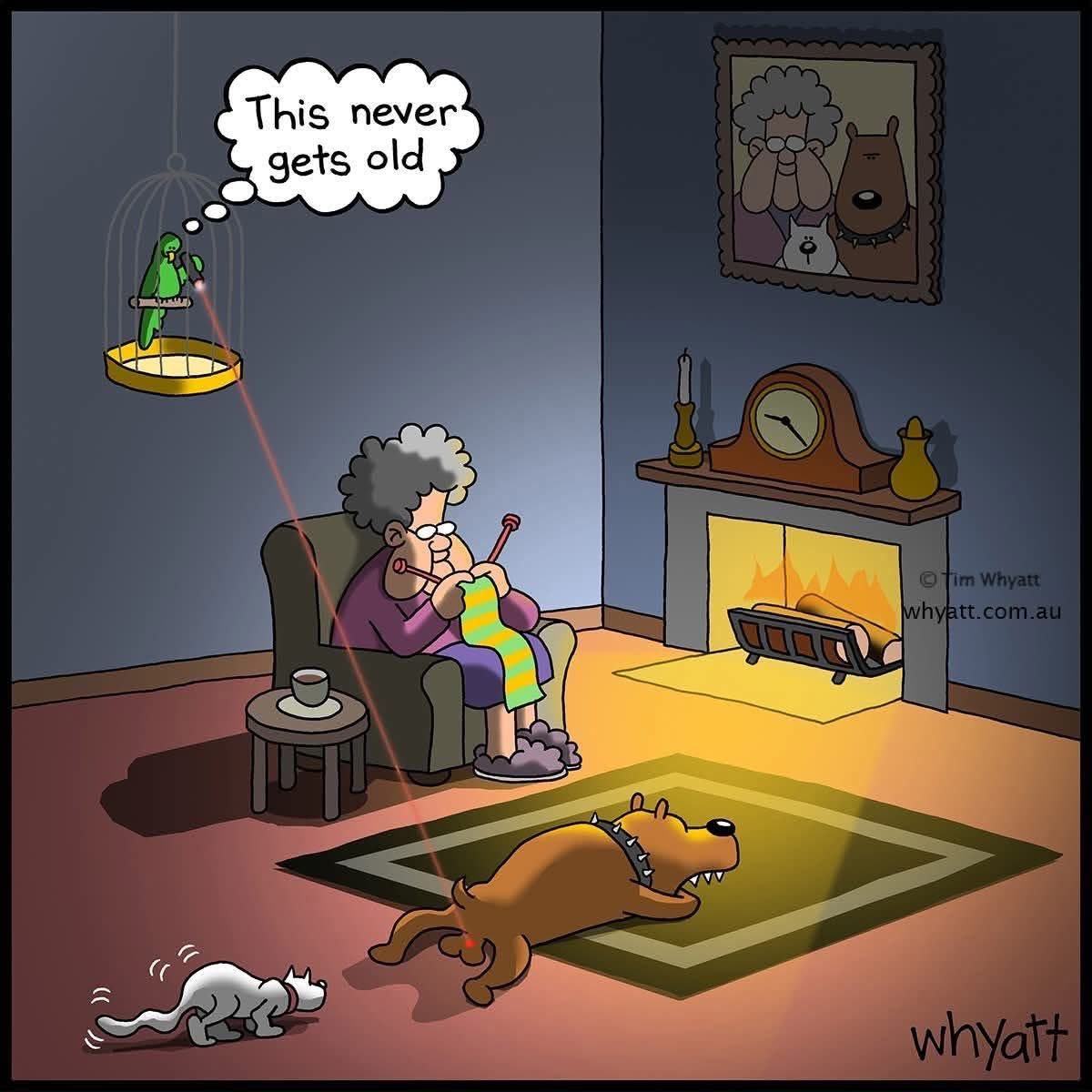 Obrázek MRGA1330-podvecer