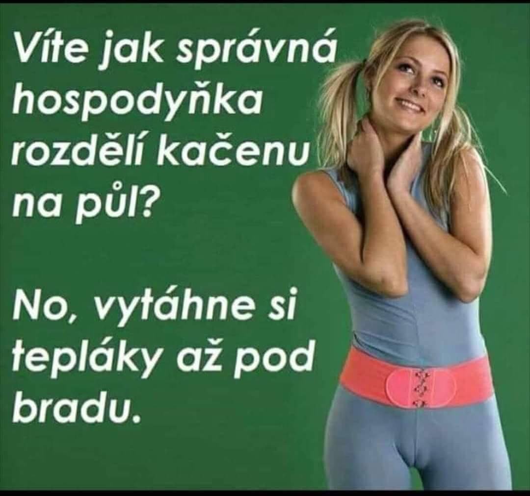 Obrázek MRGA1361-kacena