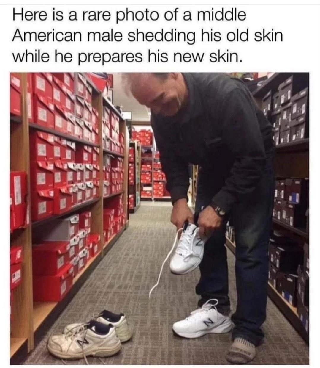 Obrázek MRGA1376-shedding