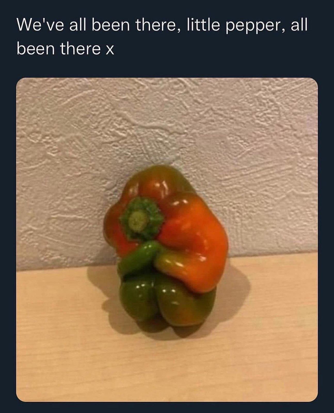 Obrázek MRGA1377-littlePepper