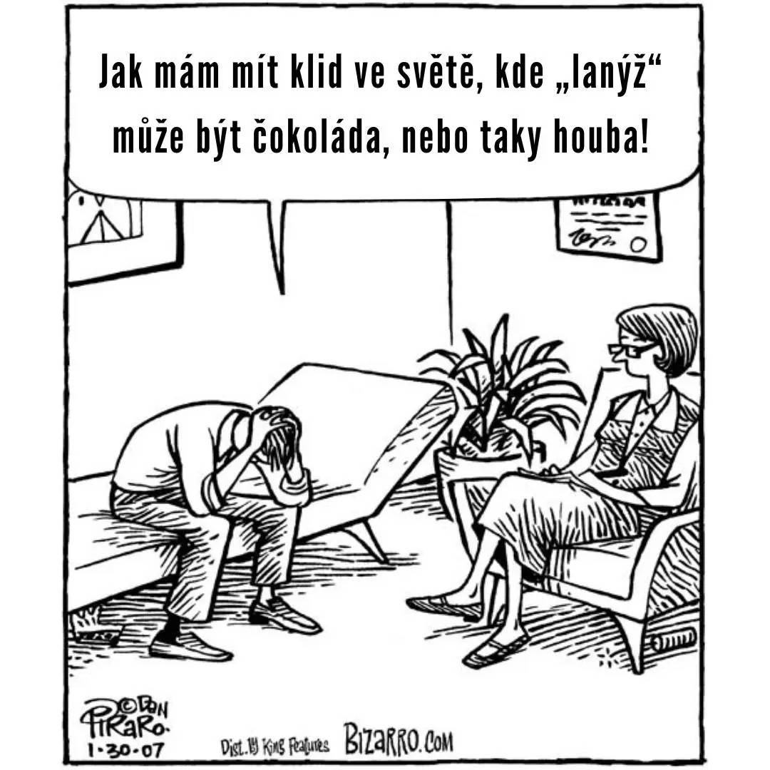 Obrázek MRGA406-CokoladovaHoubaMeZnici