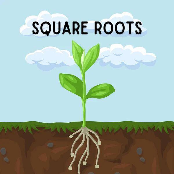 Obrázek MRGA455-SquareRootsPunnyGardeningJoke