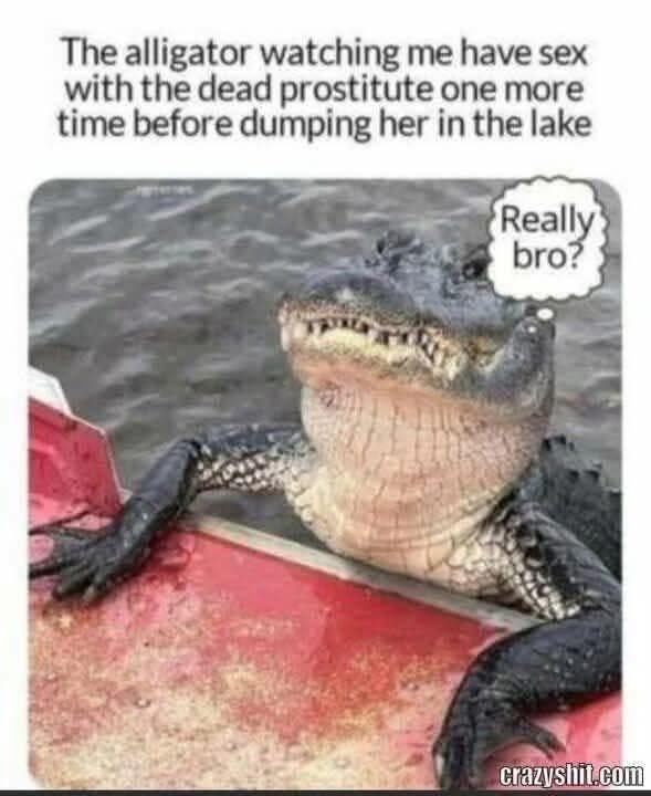 Obrázek MRGA496-AllIGator