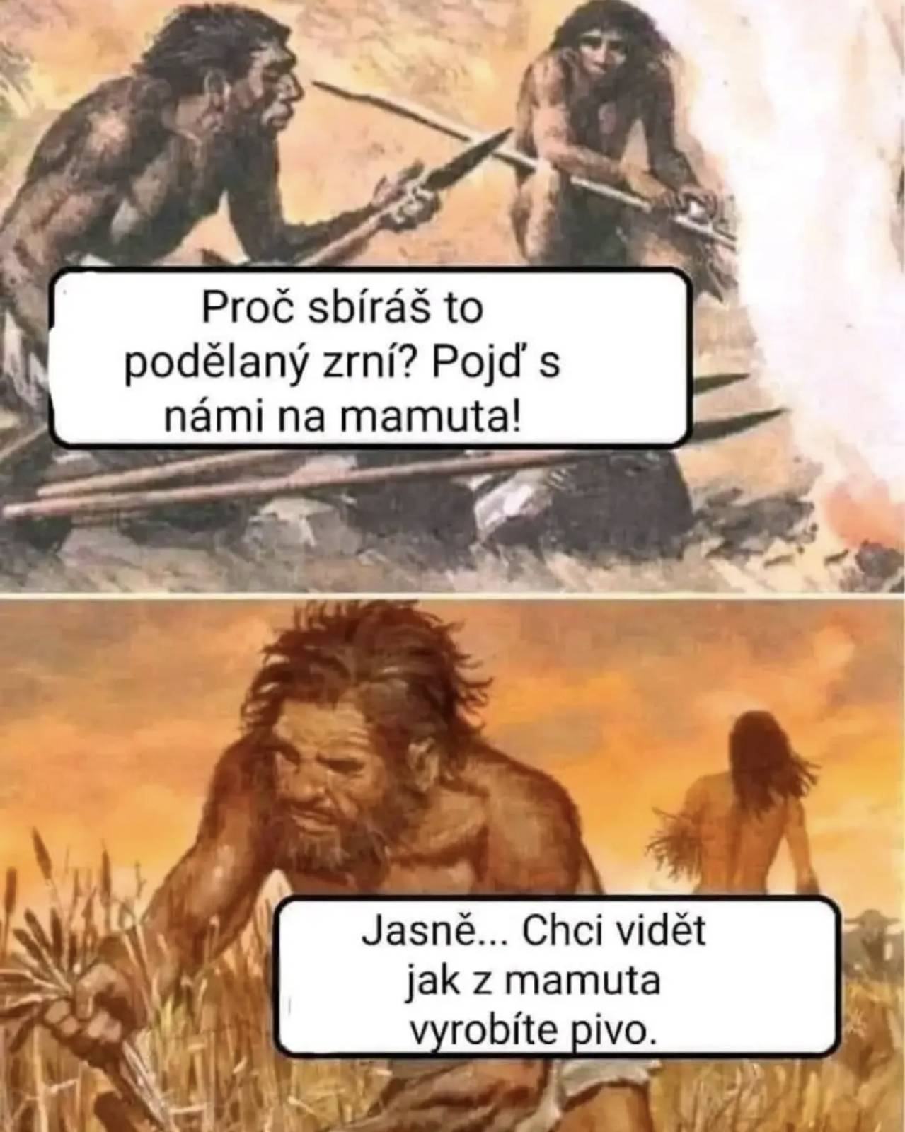 Obrázek MRGA557-Zrni
