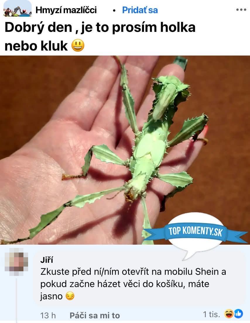 Obrázek MRGA695-nakupujeme