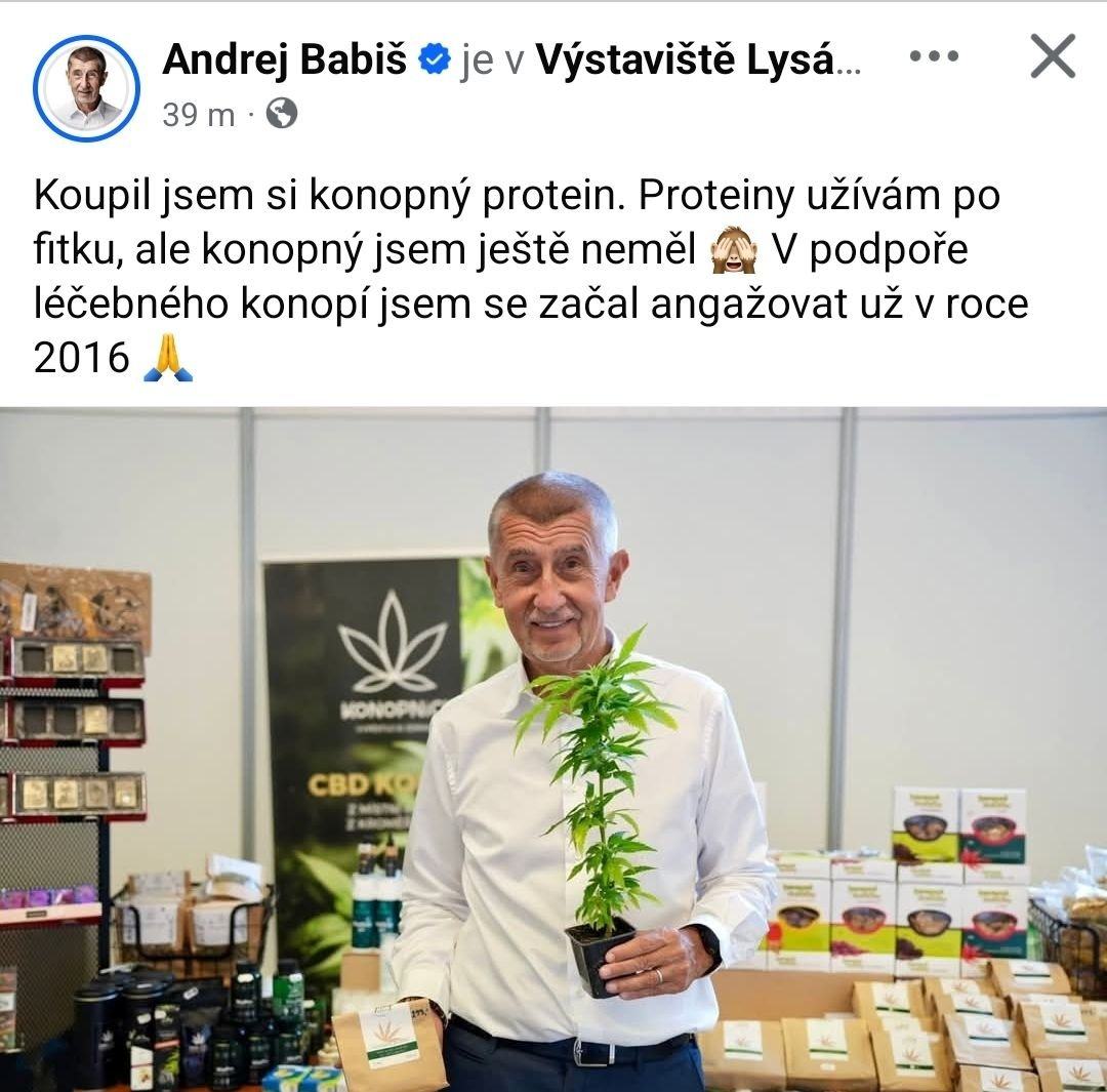 Obrázek Makak lovi u Piratu