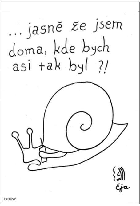 Obrázek MakeRoumingFunnyAgain-JsemDoma