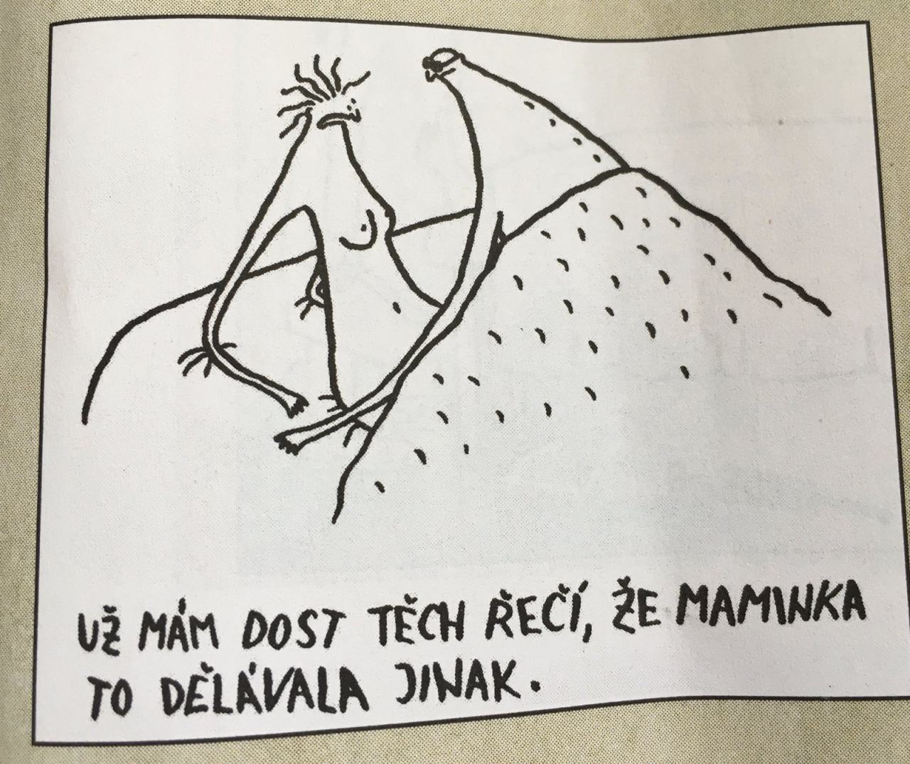 Obrázek MakeRoumingFunnyAgain-Maminka