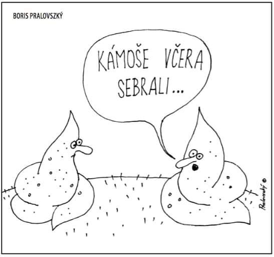 Obrázek MakeRoumingFunnyAgain-SebraliHo