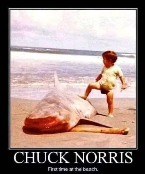 Obrázek MakeRoumingFunnyAgain-SharkNorris