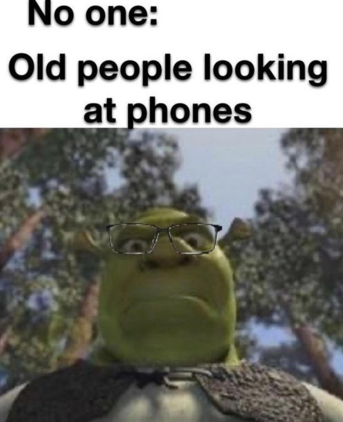 Obrázek MakeRoumingFunnyAgain-oldfolks